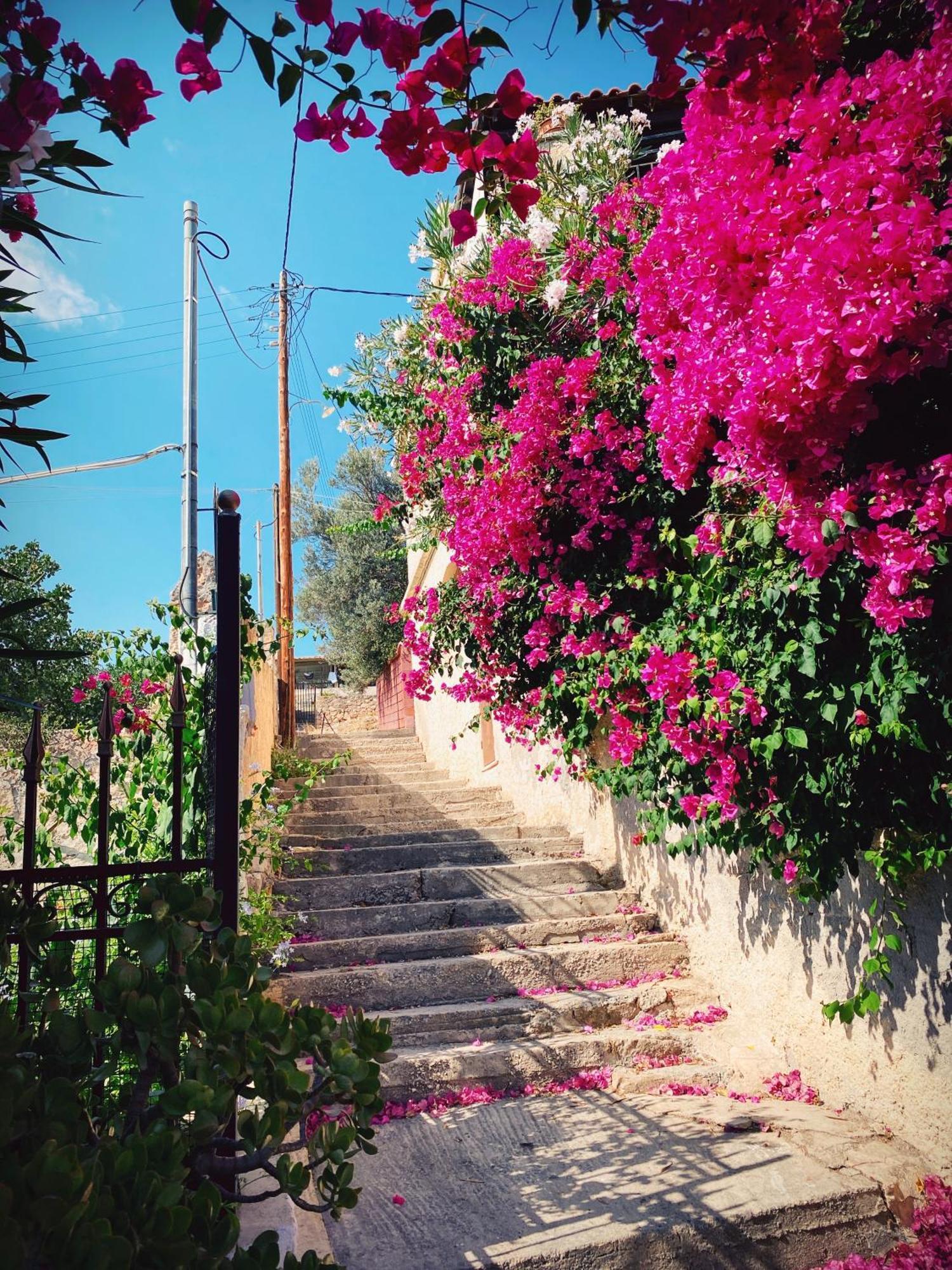 Appartement Vue Sur Mer Soul Family, Egine Aegina Exterior foto